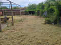 Продава КЪЩА, с. Градище, област Плевен, снимка 2