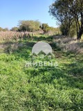 Продава ПАРЦЕЛ, с. Камен бряг, област Добрич, снимка 13