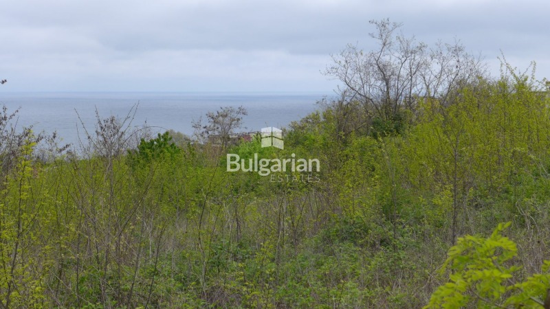 For Sale  Plot region Varna , Byala , 2395 sq.m | 36755816 - image [3]