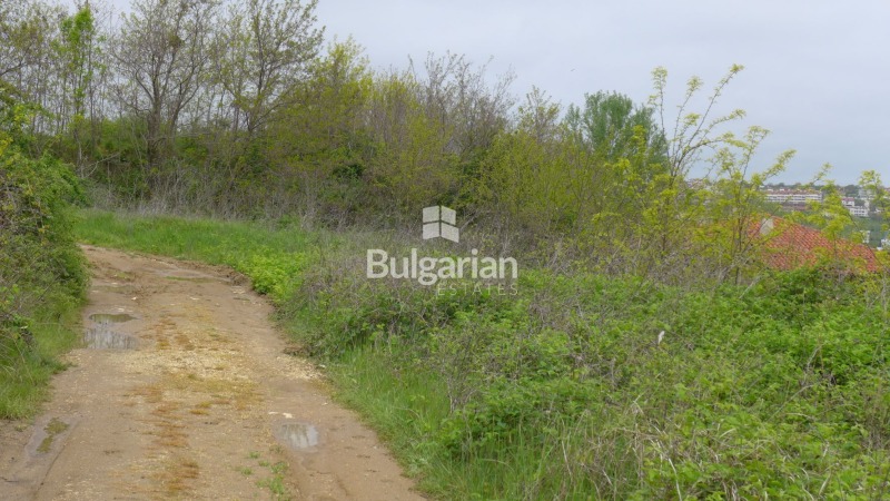 For Sale  Plot region Varna , Byala , 2395 sq.m | 36755816 - image [4]