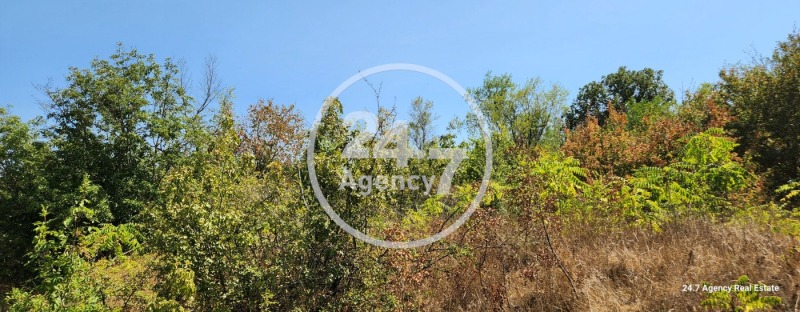 Продава  Парцел град Варна , м-т Боровец - север , 578 кв.м | 28013204 - изображение [15]