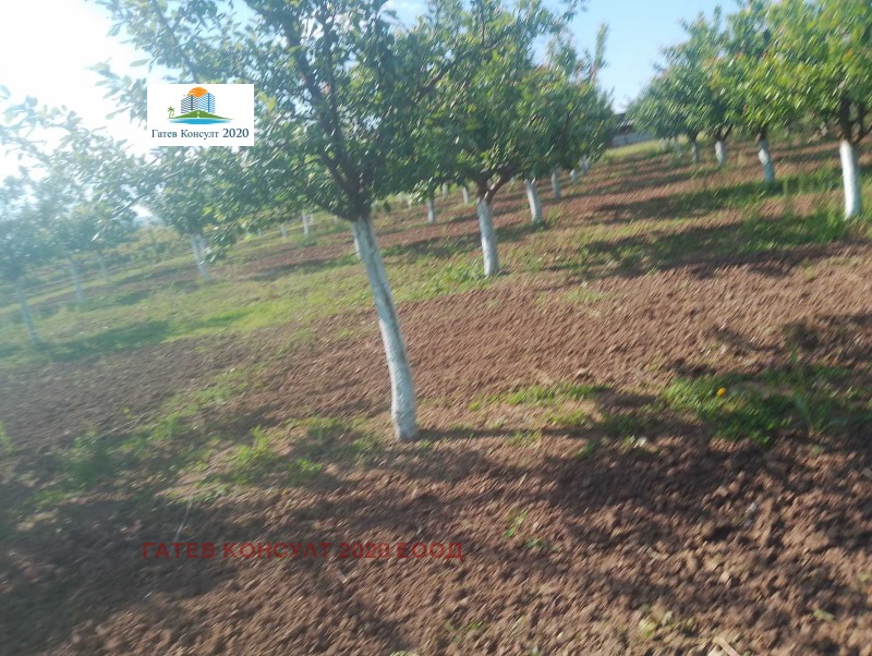 Продава  Земеделска земя област София , с. Огняново , 5.25 дка | 97888515 - изображение [2]