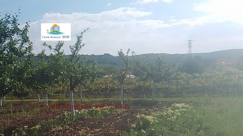 Продава  Земеделска земя област София , с. Огняново , 5.25 дка | 97888515 - изображение [3]