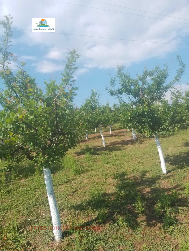 Продава  Земеделска земя област София , с. Огняново , 5.25 дка | 97888515