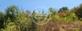 Продава ПАРЦЕЛ, град Варна, м-т Боровец - север • 50000 € • 12411690 — Holmes.bg
