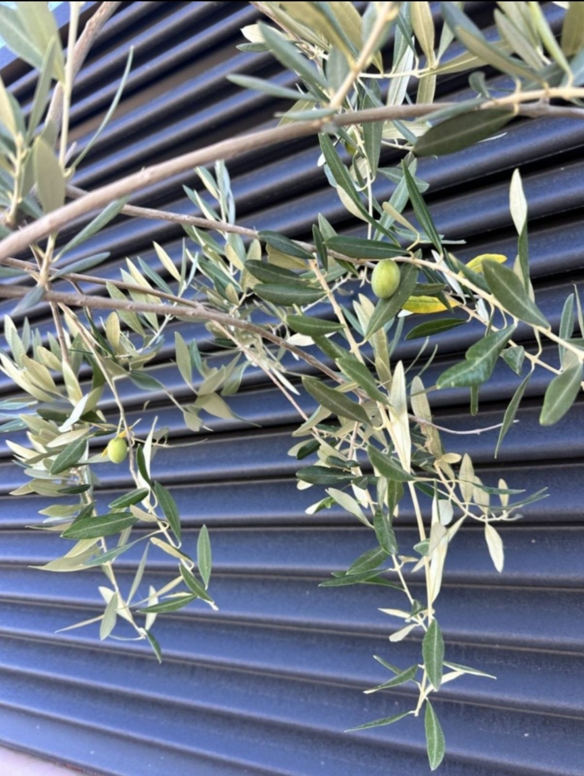 ������� ������ | Imot.bg � ����������� 14