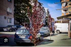 1 υπνοδωμάτιο Ρυσκη, Παζαρδζηκ 1