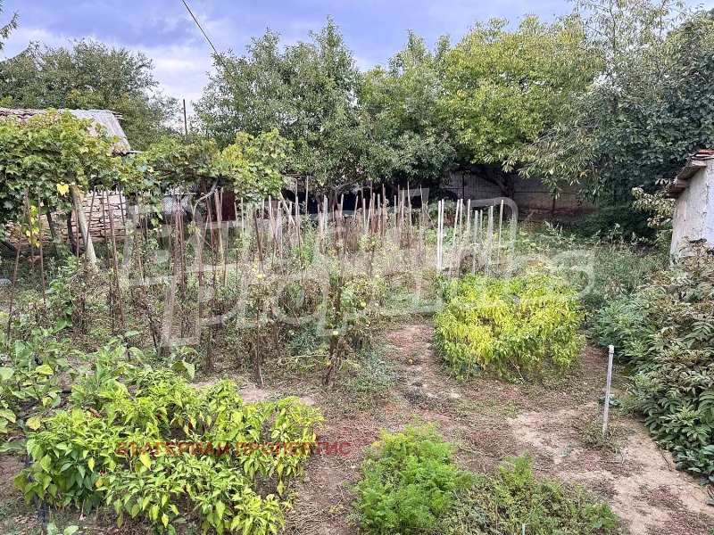 À venda  Casa região Dobrich , Kavarna , 85 m² | 16183544 - imagem [16]