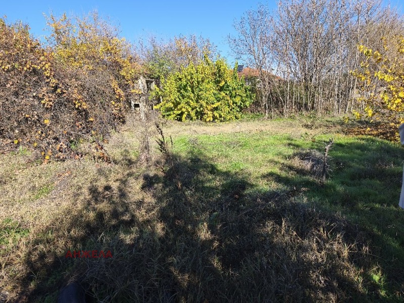 Продава КЪЩА, 60 кв.м.79 000 лв.40 392.06 €област Пазарджик, с. Драгор 08:15 на 15 Ноември 2025 Продава КЪЩА, 60 кв.м.79 000 лв.40 392.06 €област Пазарджик, с. Драгор 08:15 на 15 Ноември 2025