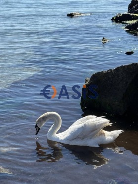 ������� 1-����� | Imot.bg � ����� ������ 14