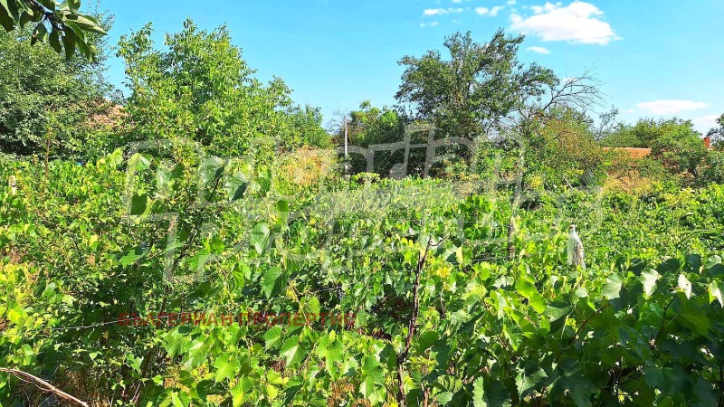 De vânzare  Casa regiunea Dobrich , Cardam , 70 mp | 98973322 - imagine [17]