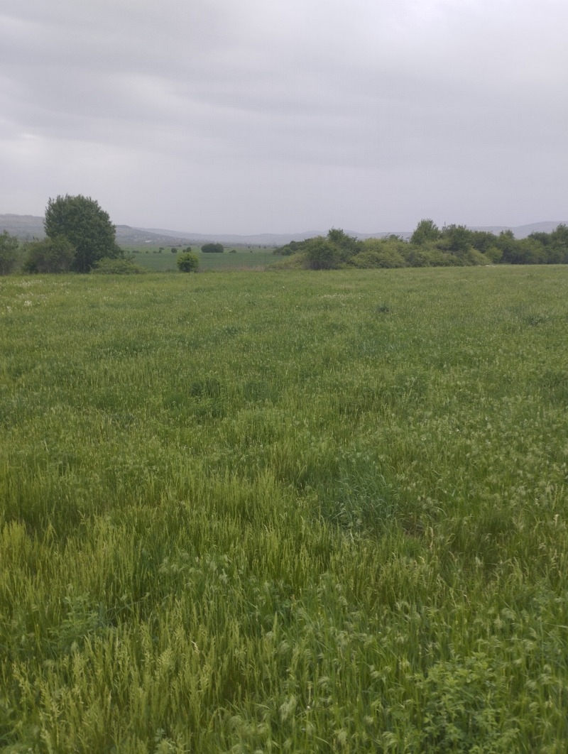 Προς πώληση  Γη περιοχή Σόφια , Πεταρτσ , 5 dka | 80307223 - εικόνα [2]