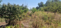 Продава ПАРЦЕЛ, град Русе, Средна кула • 41500 лв. • 30093641 — Holmes.bg