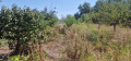 Продава ПАРЦЕЛ, град Русе, Средна кула • 41500 лв. • 30093641 — Holmes.bg