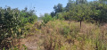 Продава ПАРЦЕЛ, град Русе, Средна кула • 41500 лв. • 30093641 — Holmes.bg