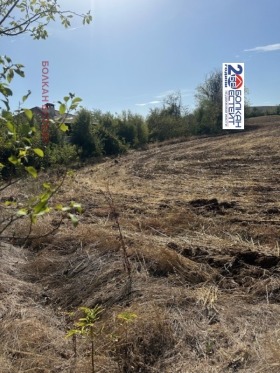 Plot Samovodene, region Veliko Tarnovo 2