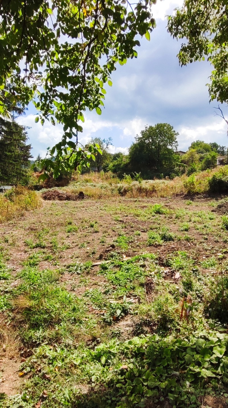 For Sale  Plot region Plovdiv , Galabovo , 490 sq.m | 38822707