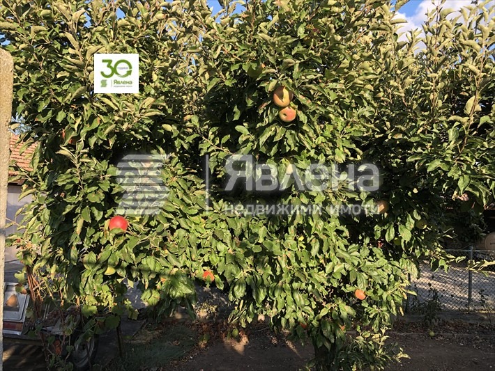 Продава КЪЩА, с. Видно, област Добрич, снимка 7 - Къщи - 48951785