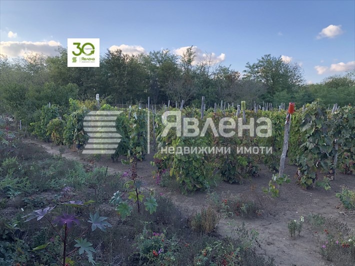 Продава КЪЩА, с. Видно, област Добрич, снимка 2 - Къщи - 48951785