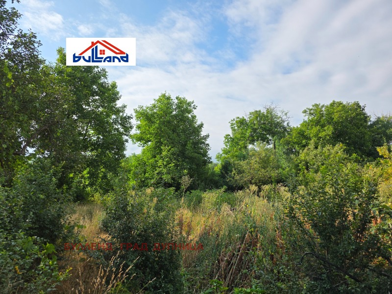 Satılık  Komplo bölge Köstendil , Çerven breg , 745 metrekare | 24404311 - görüntü [6]