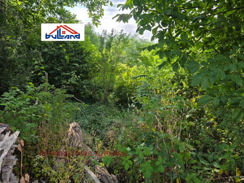 Satılık  Komplo bölge Köstendil , Çerven breg , 745 metrekare | 24404311 - görüntü [3]