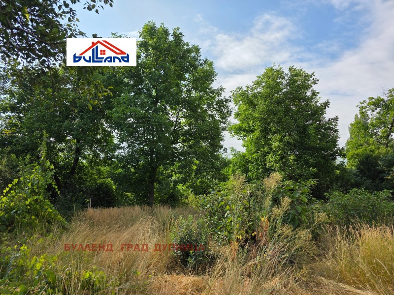 Satılık  Komplo bölge Köstendil , Çerven breg , 745 metrekare | 24404311 - görüntü [4]