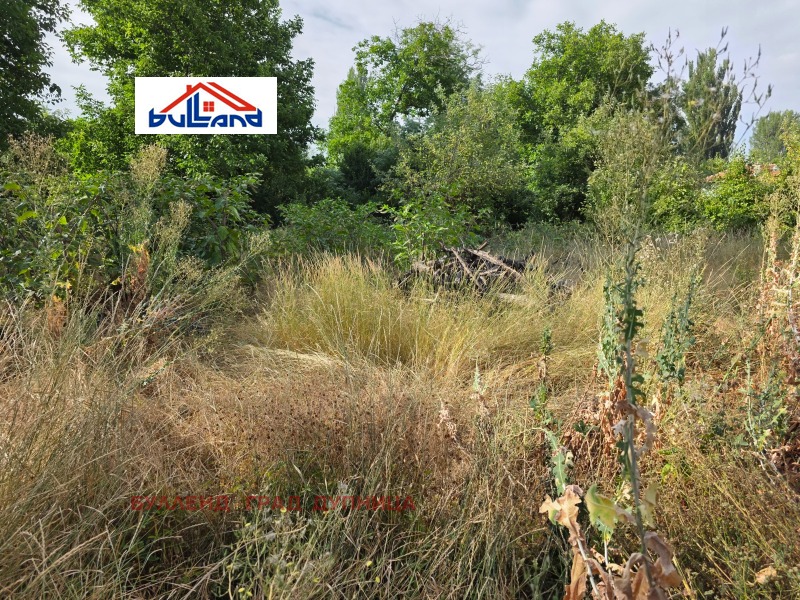 Satılık  Komplo bölge Köstendil , Çerven breg , 745 metrekare | 24404311 - görüntü [2]
