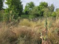 Продава ПАРЦЕЛ, с. Червен брег, област Кюстендил, снимка 2