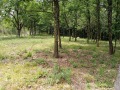 Продава ПАРЦЕЛ, с. Керека, област Габрово, снимка 2