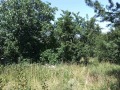 Продава ПАРЦЕЛ, гр. София, гр. Банкя, снимка 3
