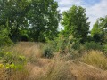 Продава ПАРЦЕЛ, област Кюстендил, с. Червен брег • 21000 € • 12027668 — Holmes.bg