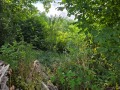 Продава ПАРЦЕЛ, област Кюстендил, с. Червен брег • 21000 € • 12027668 — Holmes.bg