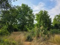 Продава ПАРЦЕЛ, област Кюстендил, с. Червен брег • 21000 € • 12027668 — Holmes.bg