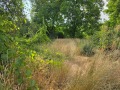 Продава ПАРЦЕЛ, област Кюстендил, с. Червен брег • 21000 € • 12027668 — Holmes.bg