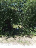 Продава  Парцел град София , гр. Банкя , 753 кв.м | 36654539 - изображение [6]