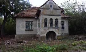 Hus Kosjava, region Vidin 1