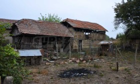 Hus Kosjava, region Vidin 7