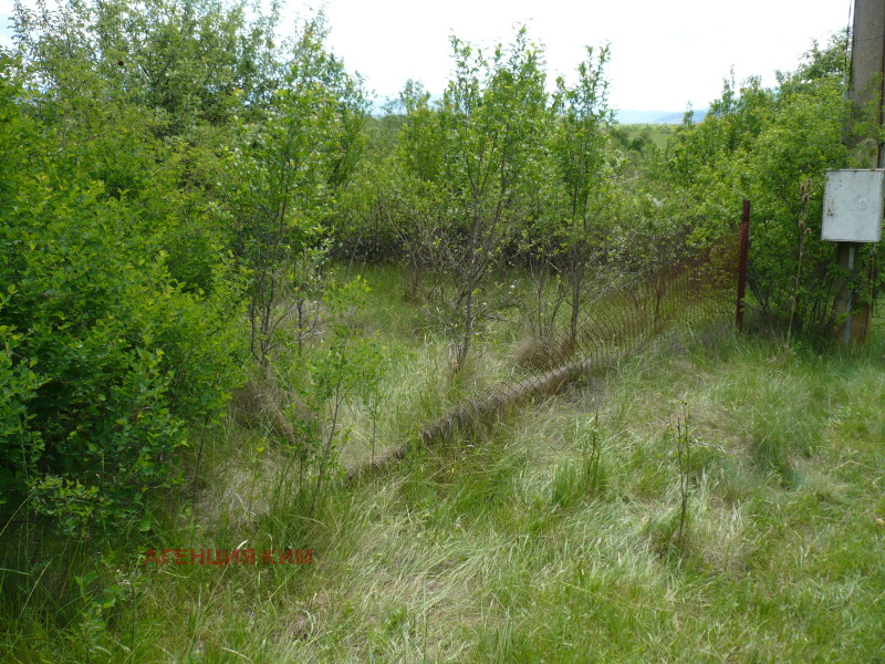 In vendita  Casa regione Pernik , Kalishte , 70 mq | 67696218 - Immagine [2]