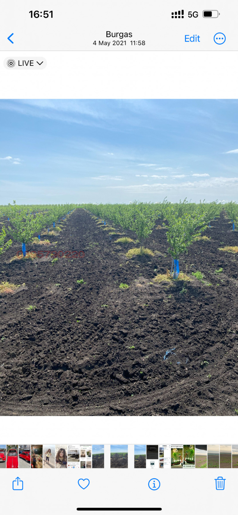 Продава ЗЕМЕДЕЛСКА ЗЕМЯ, гр. Бургас, област Бургас, снимка 5 - Земеделска земя - 52784824