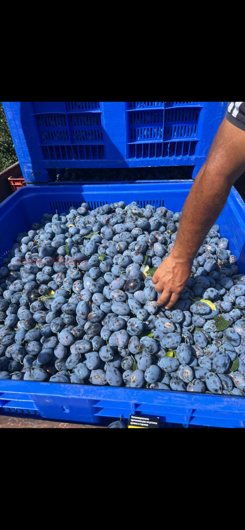 Продава ЗЕМЕДЕЛСКА ЗЕМЯ, гр. Бургас, област Бургас