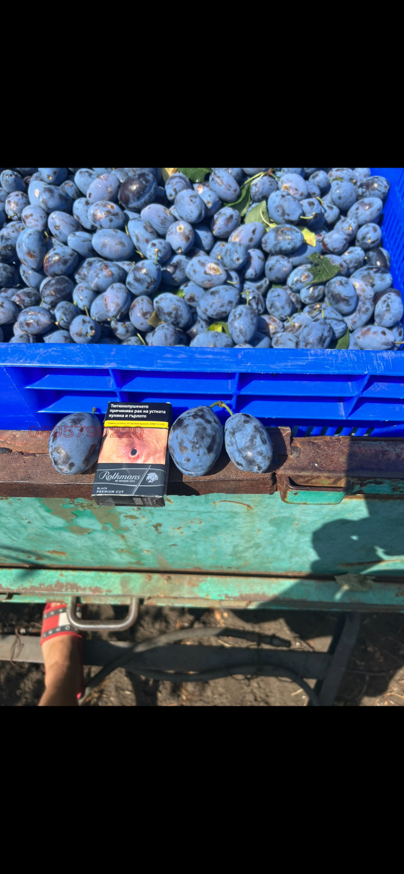 Продава ЗЕМЕДЕЛСКА ЗЕМЯ, гр. Бургас, област Бургас, снимка 3 - Земеделска земя - 52784824