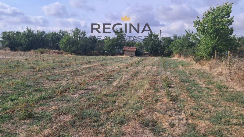 Продава ПАРЦЕЛ в област Пловдив, с. Старо Железаре - 1353 кв.м / 22 000 € » 43 028.26 лв., РЕДЖИНА