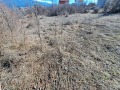 Продава ПАРЦЕЛ, с. Кралев дол, област Перник, снимка 2