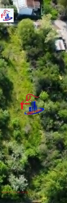 ������ ������� ������