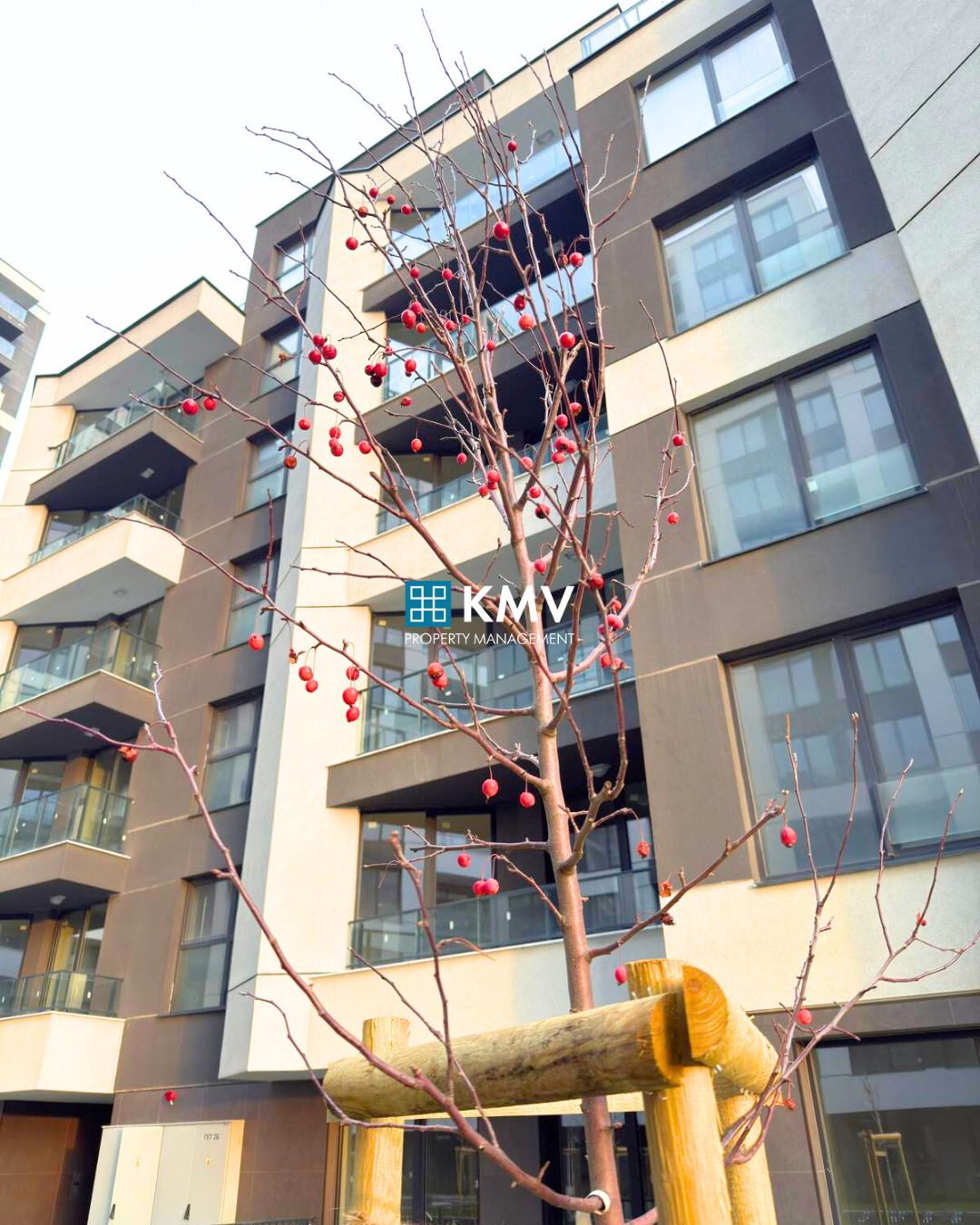 Продава ЗАВЕДЕНИЕ, гр. София, Сердика, снимка 6 - Заведения - 36229732