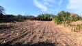 Продава ПАРЦЕЛ, област Русе, с. Просена • 21000 лв. • 11065137 — Holmes.bg