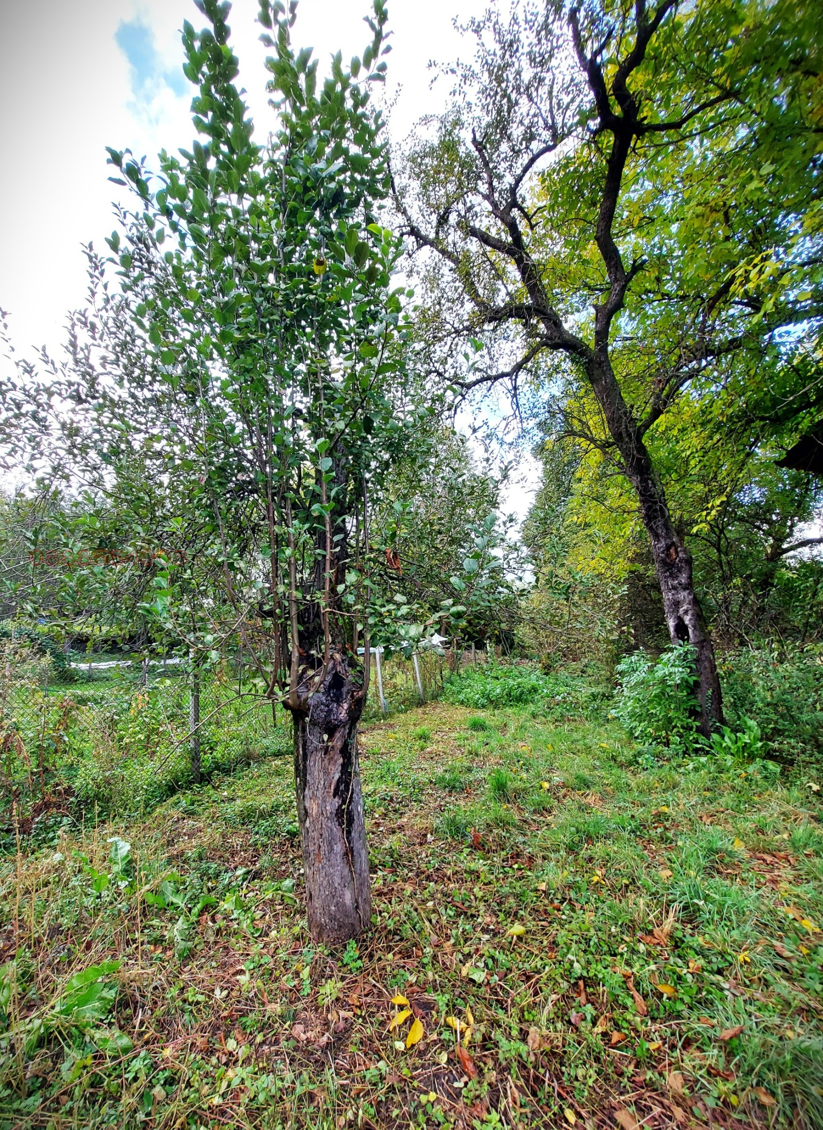 Продава КЪЩА, с. Орешак, област Ловеч, снимка 17 - Къщи - 54617300