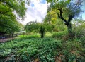 Продава КЪЩА, с. Орешак, област Ловеч, снимка 15