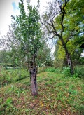 Продава КЪЩА, с. Орешак, област Ловеч, снимка 17