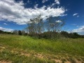 Продава ПАРЦЕЛ, с. Николаевка, област Варна, снимка 2